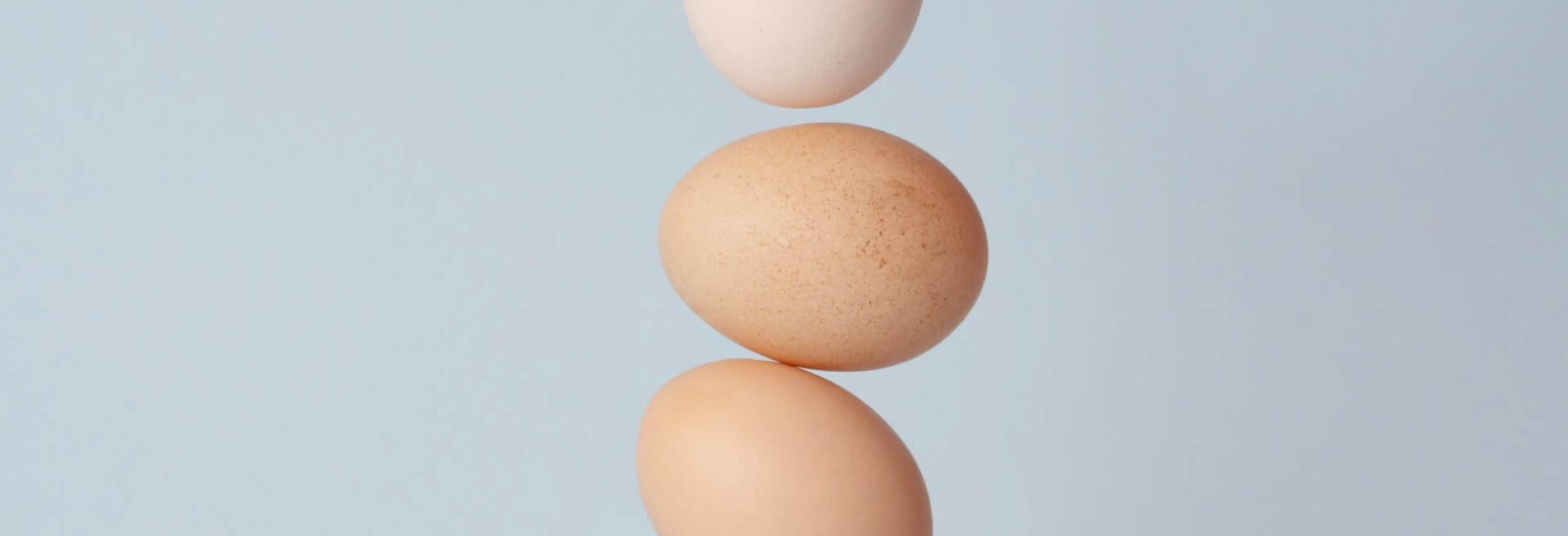 Shampoo Alternative–Eggs