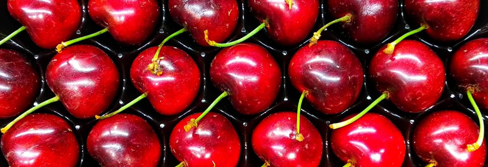 Did You Know–Cherries Can Relieve Headaches