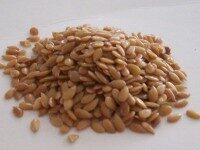flaxseed1-200x150-1random%